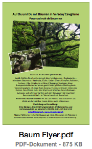 Baum Flyer - Vorschau.png